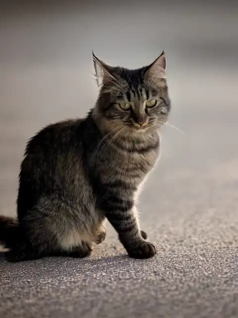 carousel-image-mobile-2