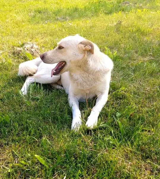 carousel-image-mobile-1