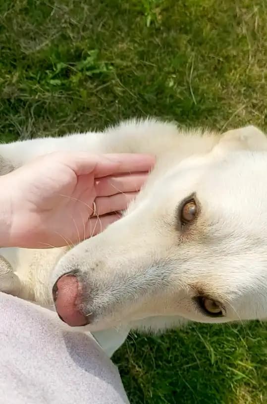 carousel-image-mobile-3