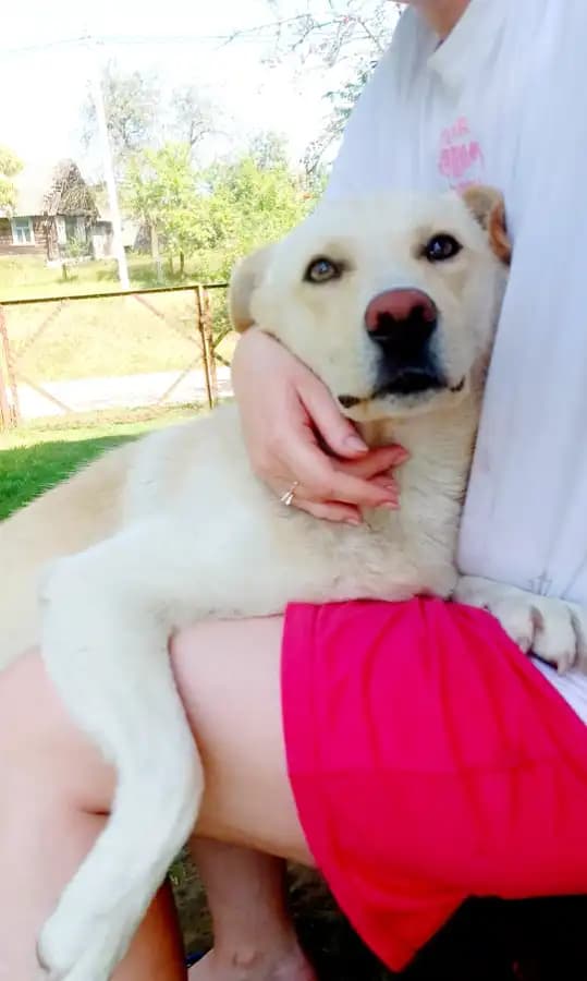 carousel-image-mobile-4