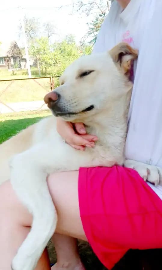 carousel-image-mobile-5