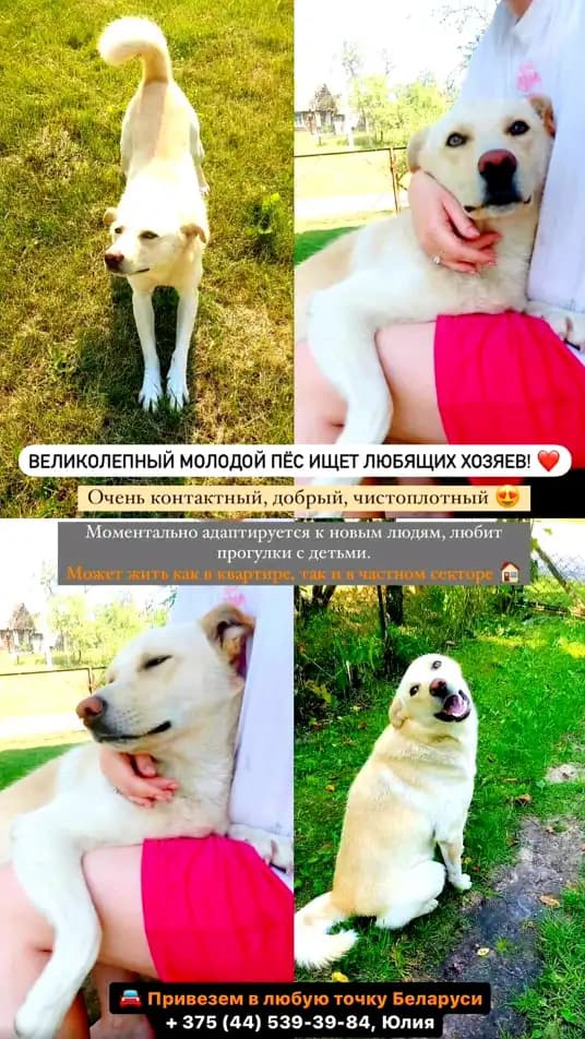 carousel-image-mobile-6