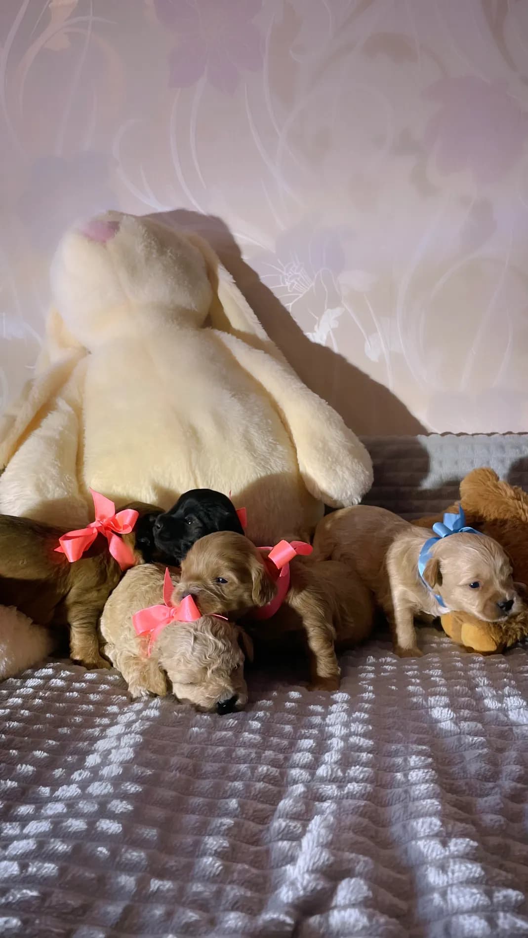 carousel-image-mobile-1