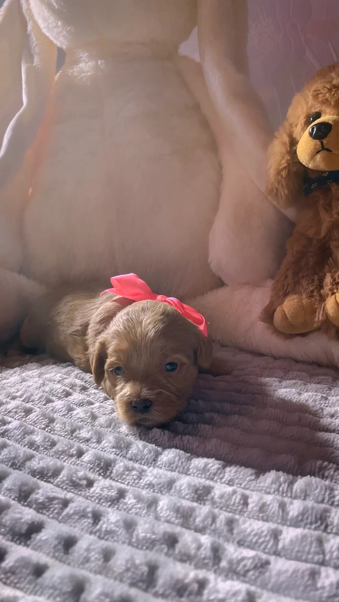 carousel-image-mobile-2