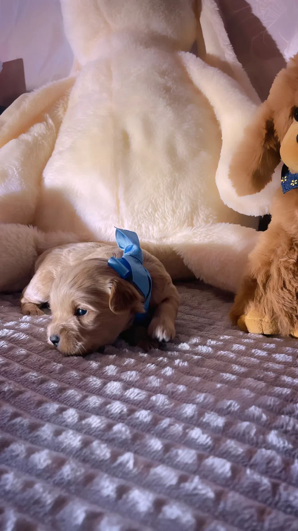 carousel-image-mobile-4