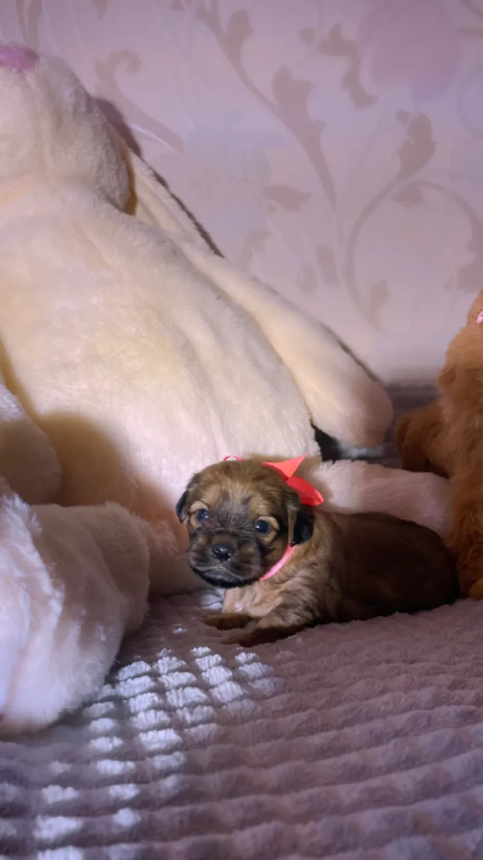 carousel-image-mobile-5