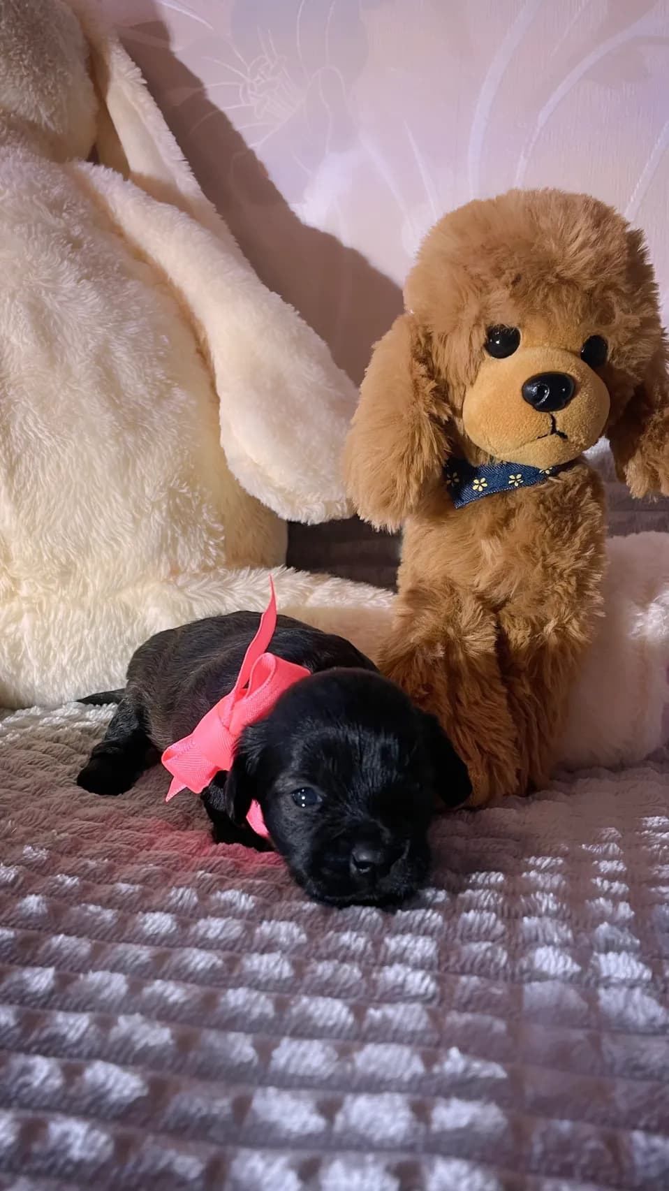 carousel-image-mobile-6