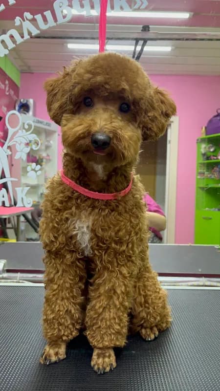 carousel-image-mobile-7