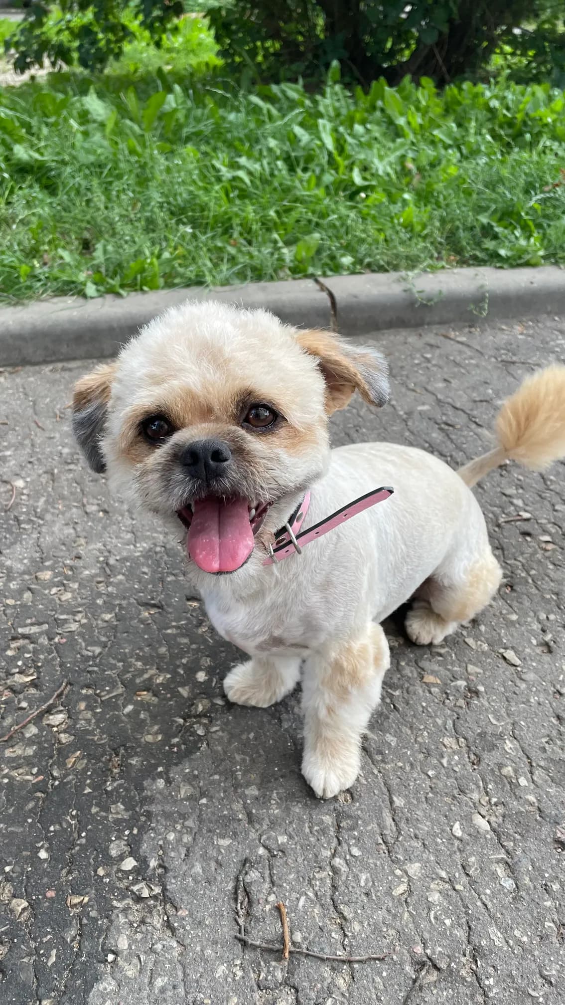 carousel-image-mobile-8