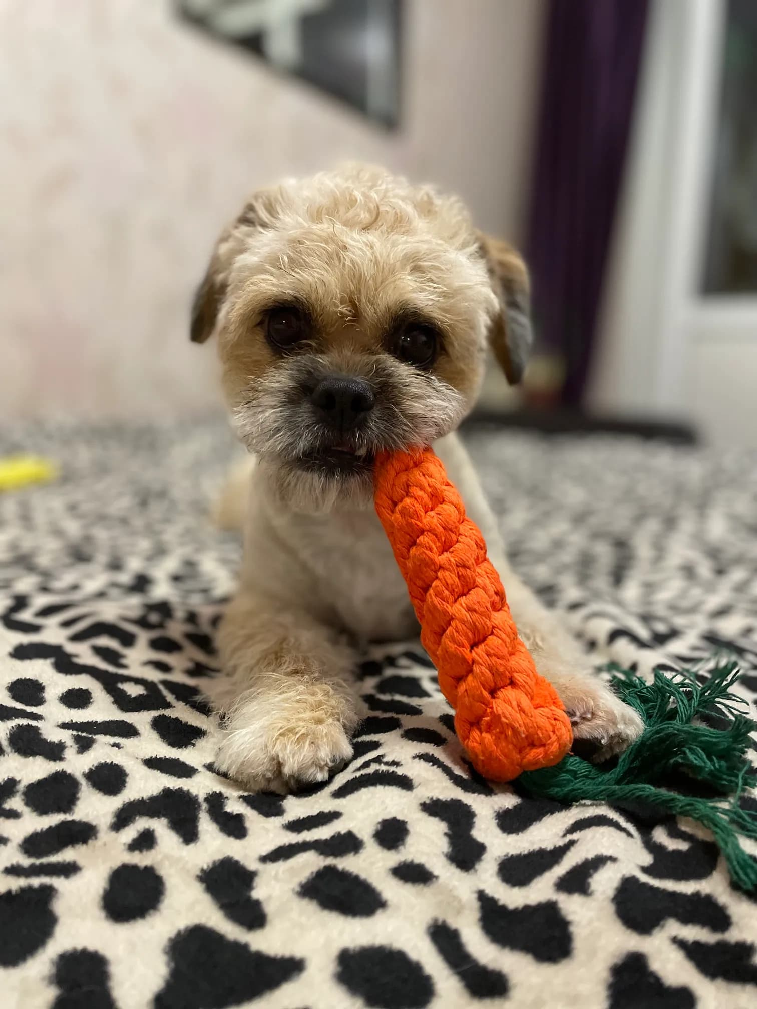 carousel-image-mobile-9