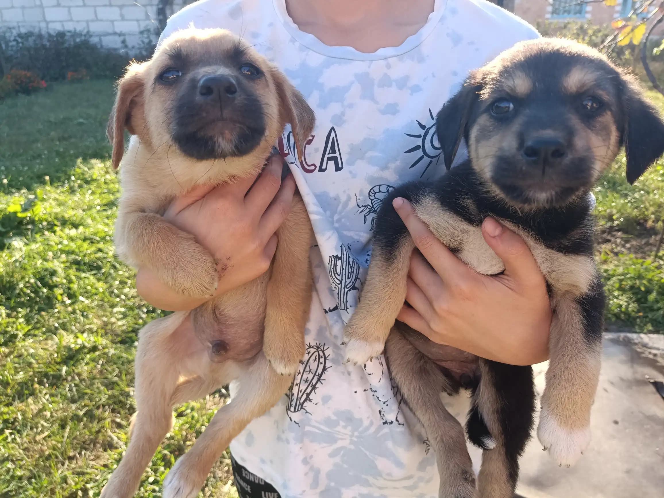 carousel-image-mobile-1