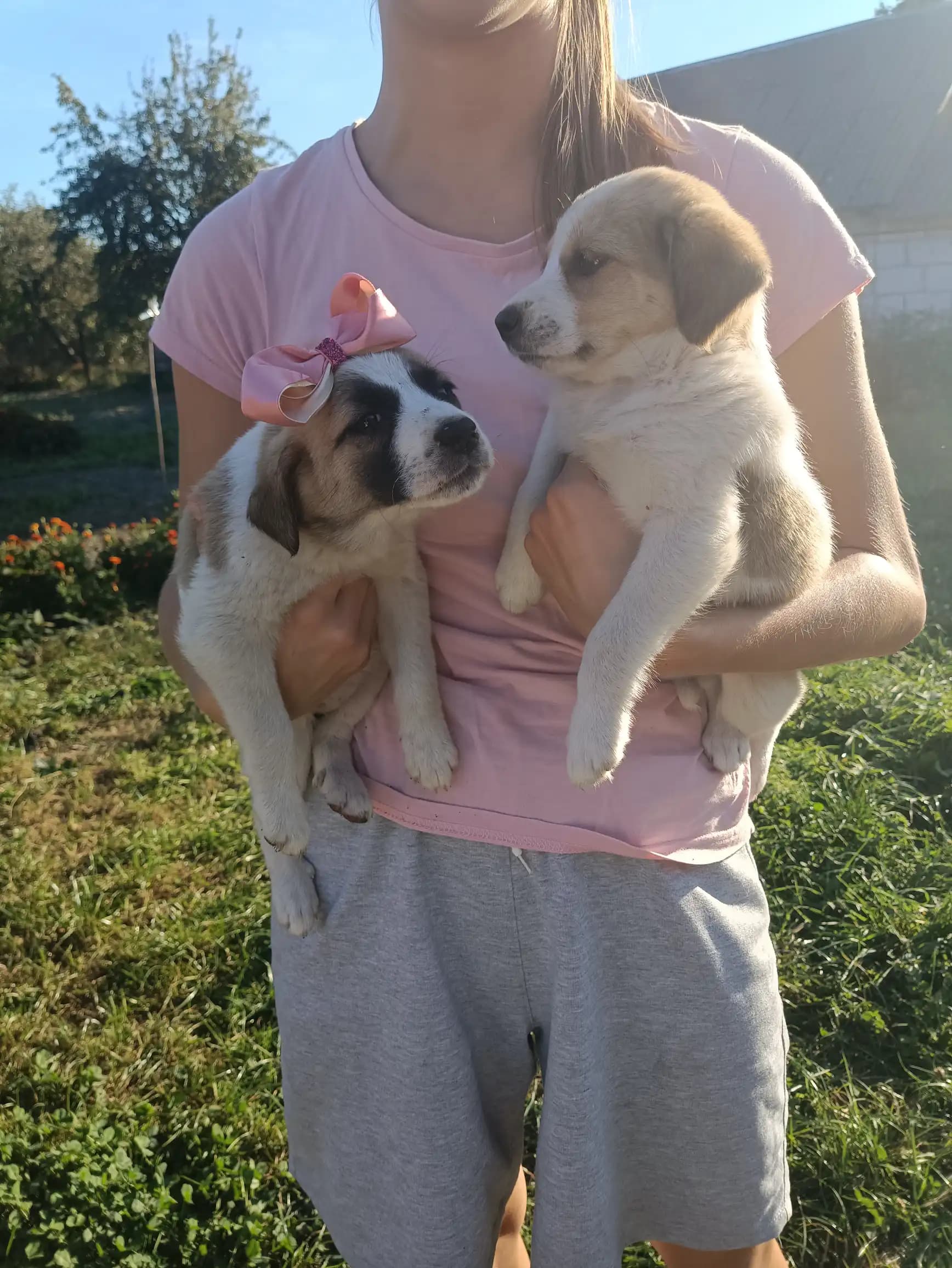 carousel-image-mobile-2