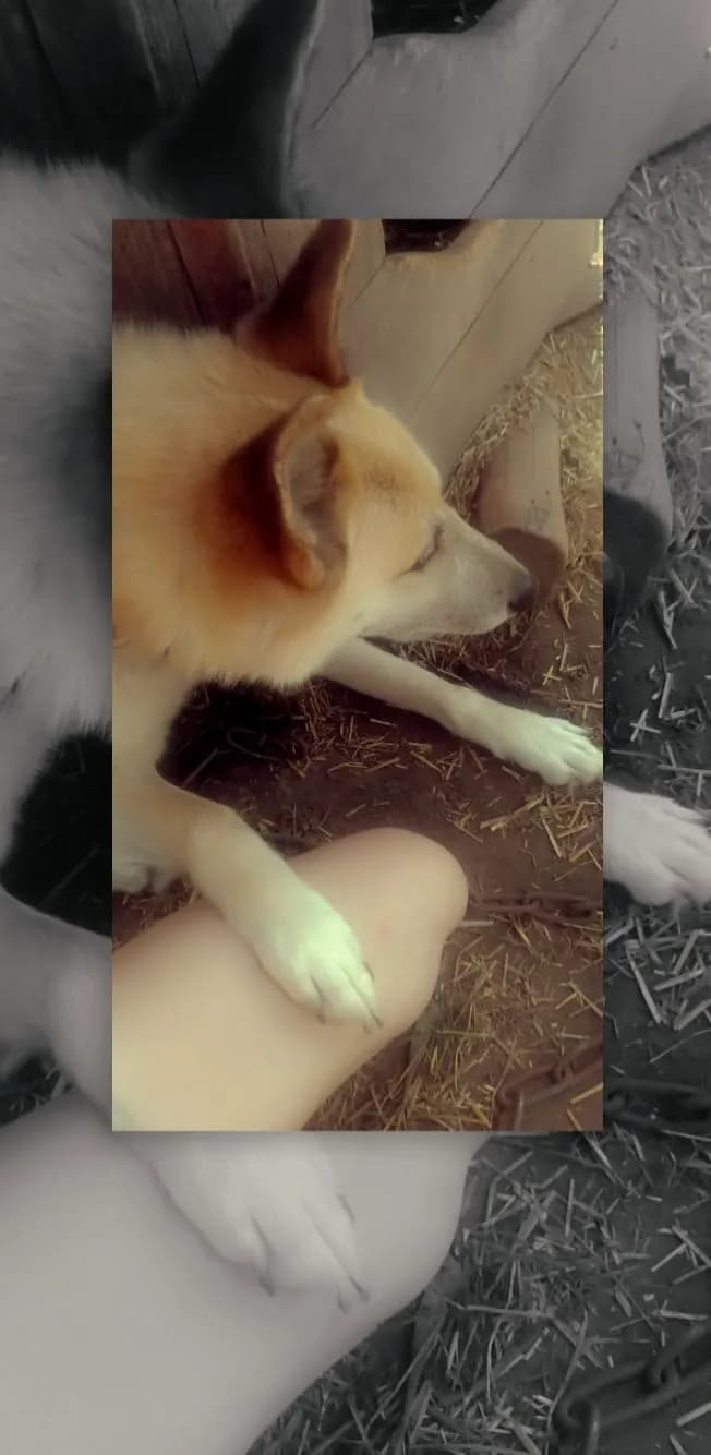 carousel-image-mobile-1