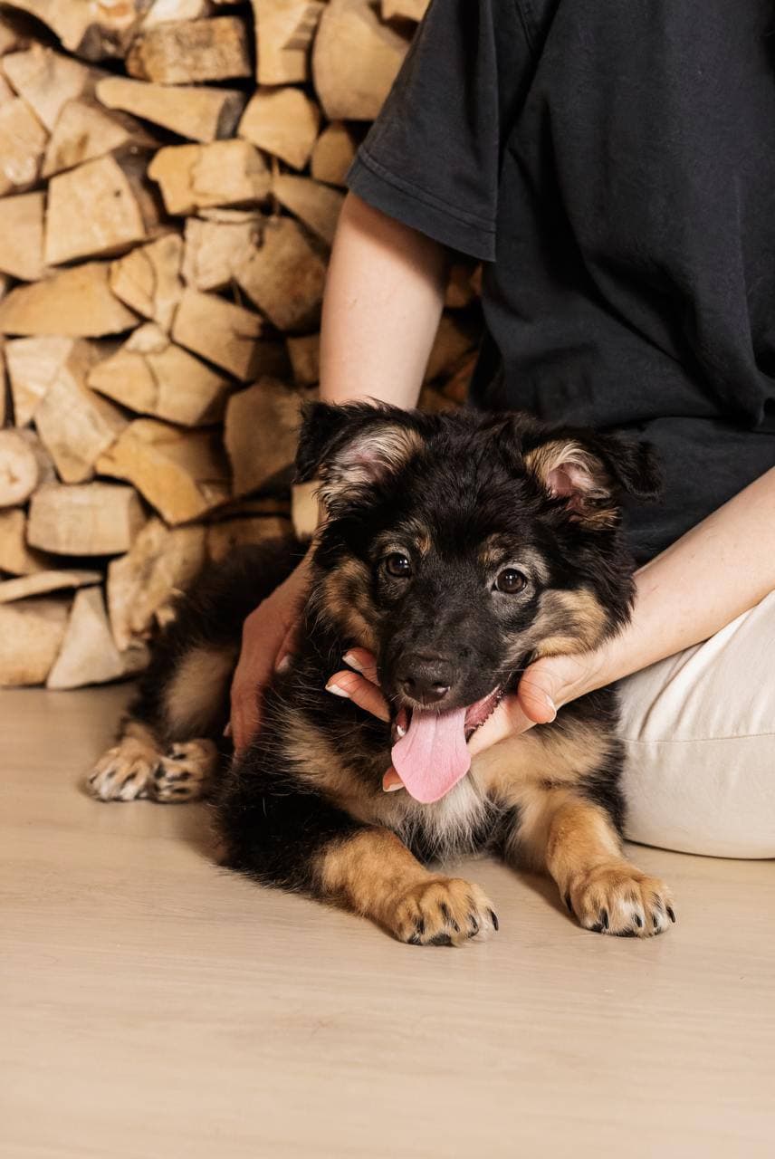 carousel-image-mobile-1