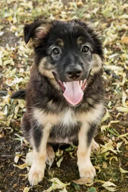 carousel-image-mobile-2