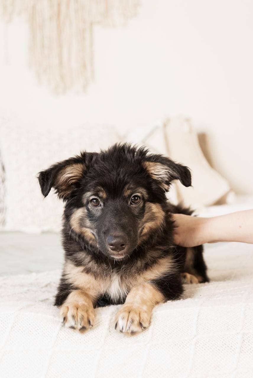 carousel-image-mobile-3