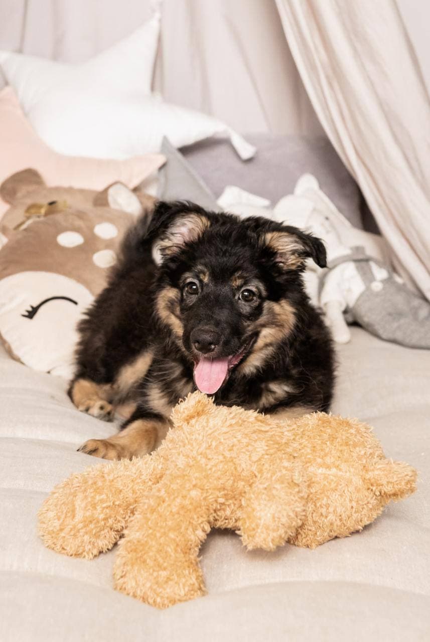 carousel-image-mobile-4