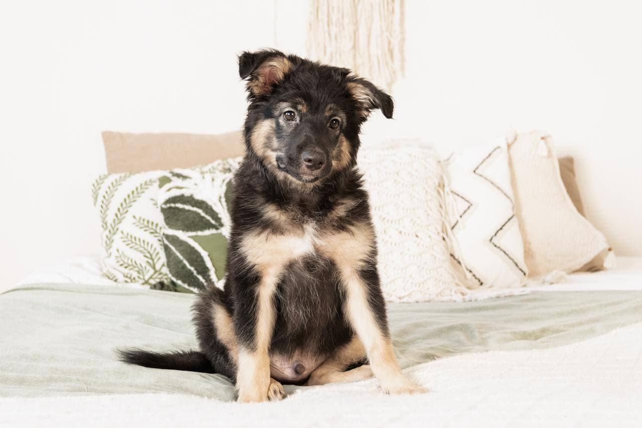 carousel-image-mobile-5