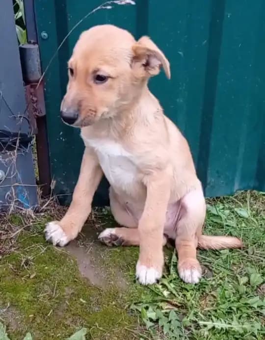 carousel-image-mobile-1