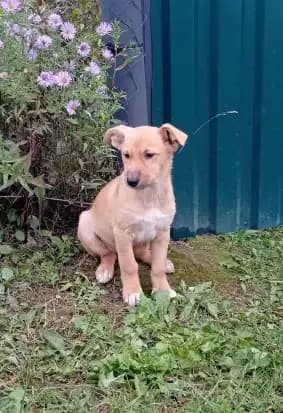 carousel-image-mobile-2