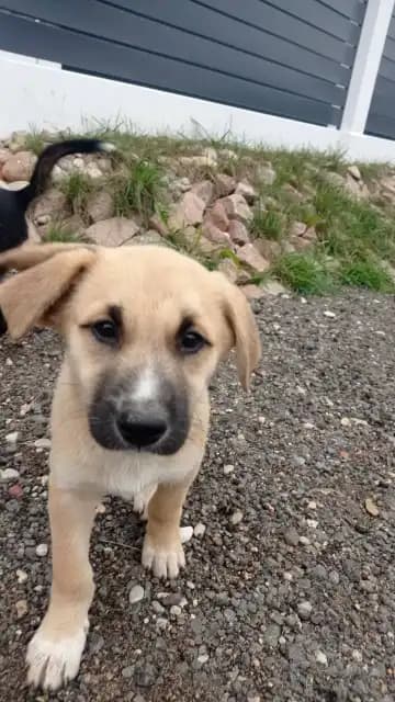 carousel-image-mobile-3