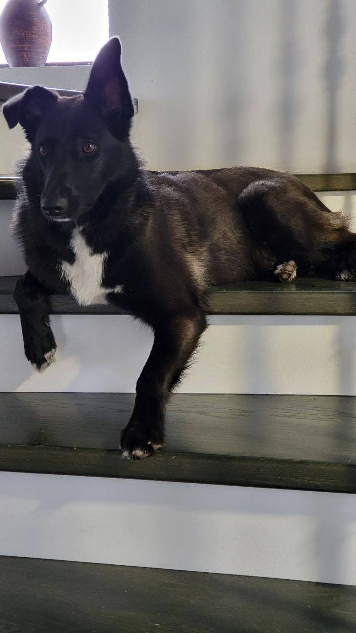 carousel-image-mobile-1