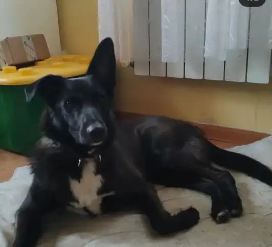 carousel-image-mobile-2