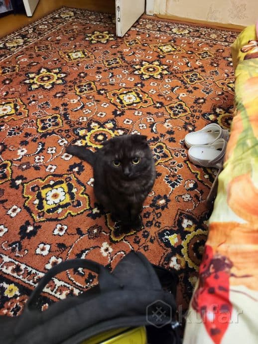 carousel-image-mobile-1