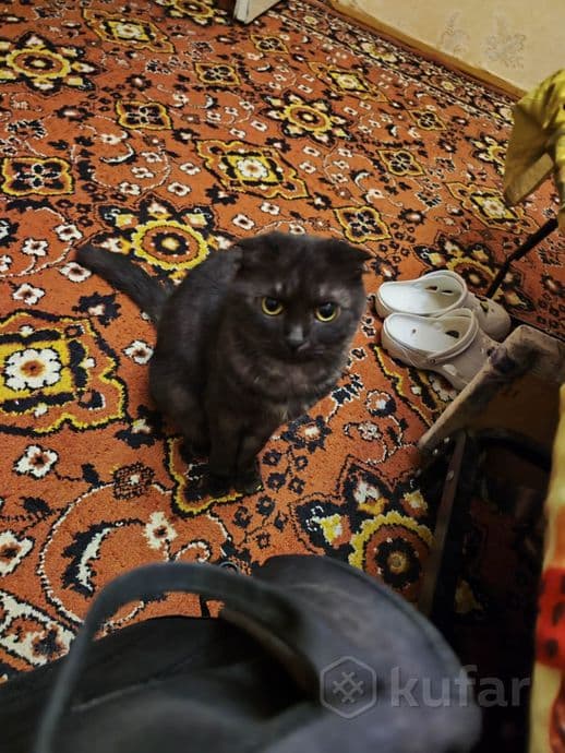 carousel-image-mobile-2