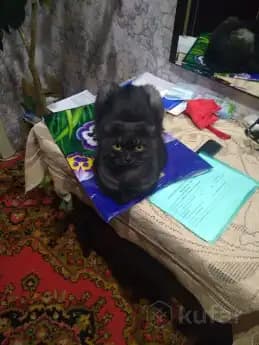 carousel-image-mobile-3