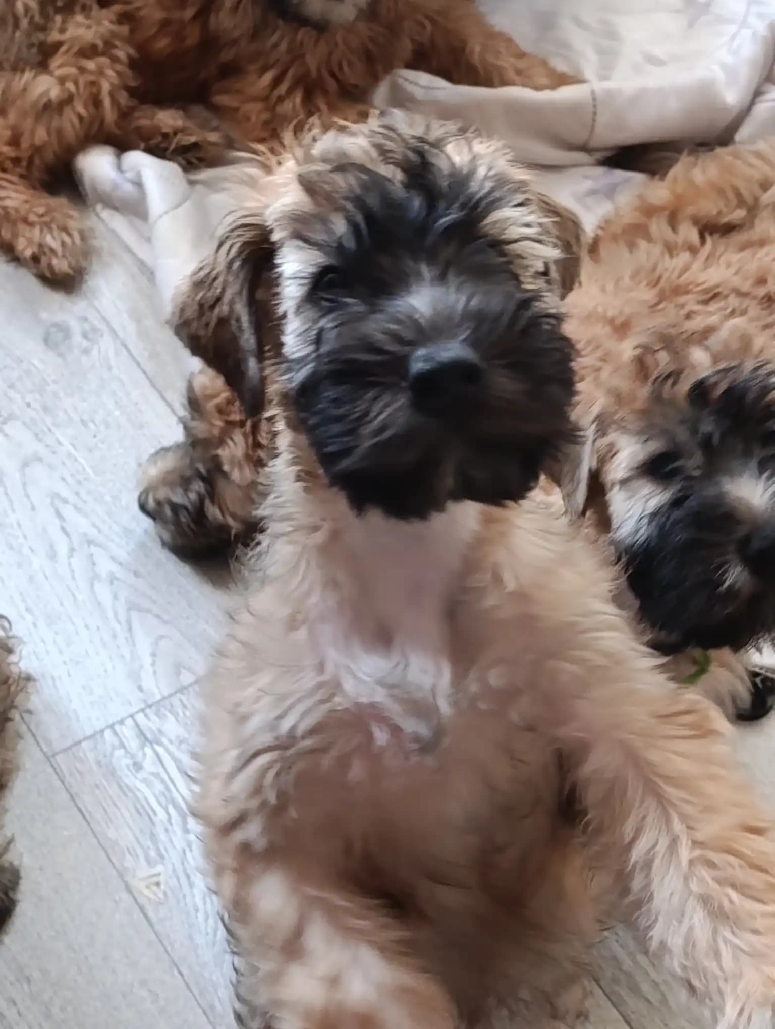 carousel-image-mobile-1