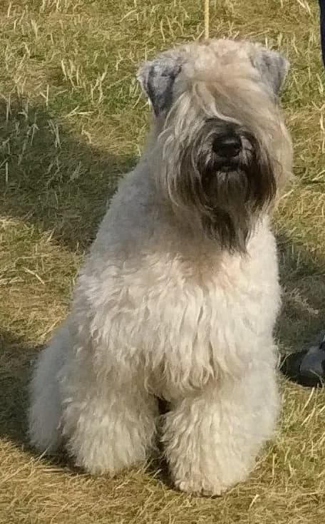 carousel-image-mobile-2