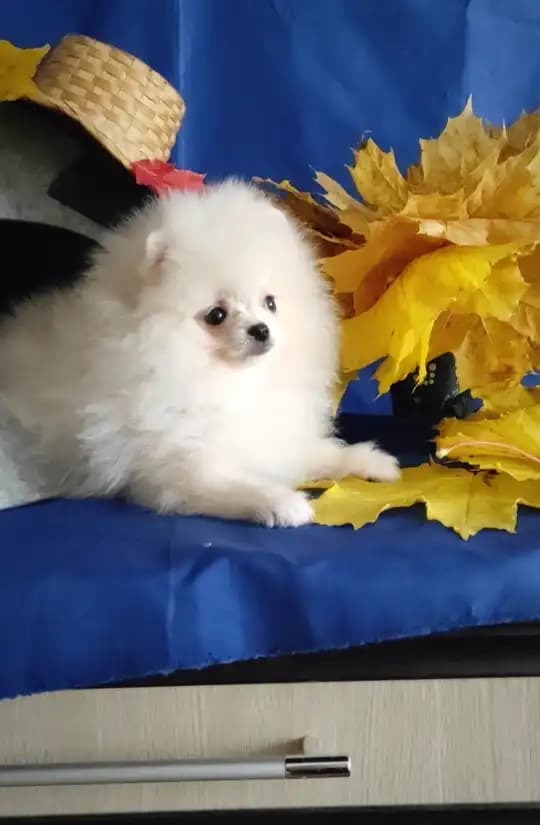 carousel-image-mobile-3