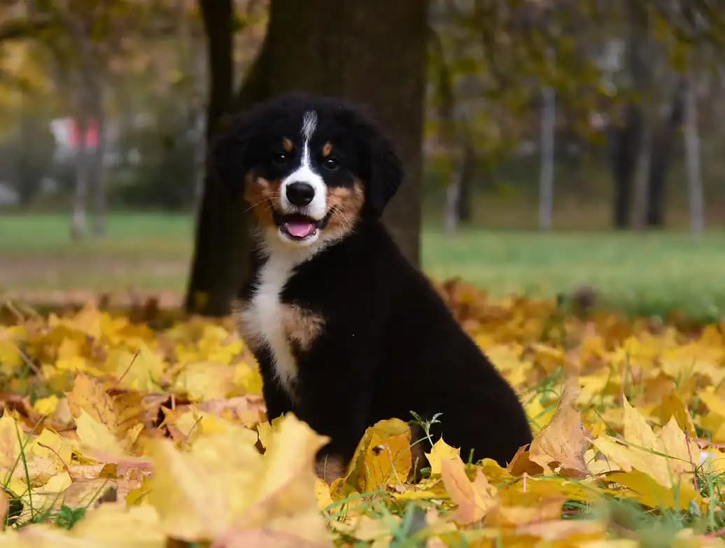 carousel-image-mobile-3