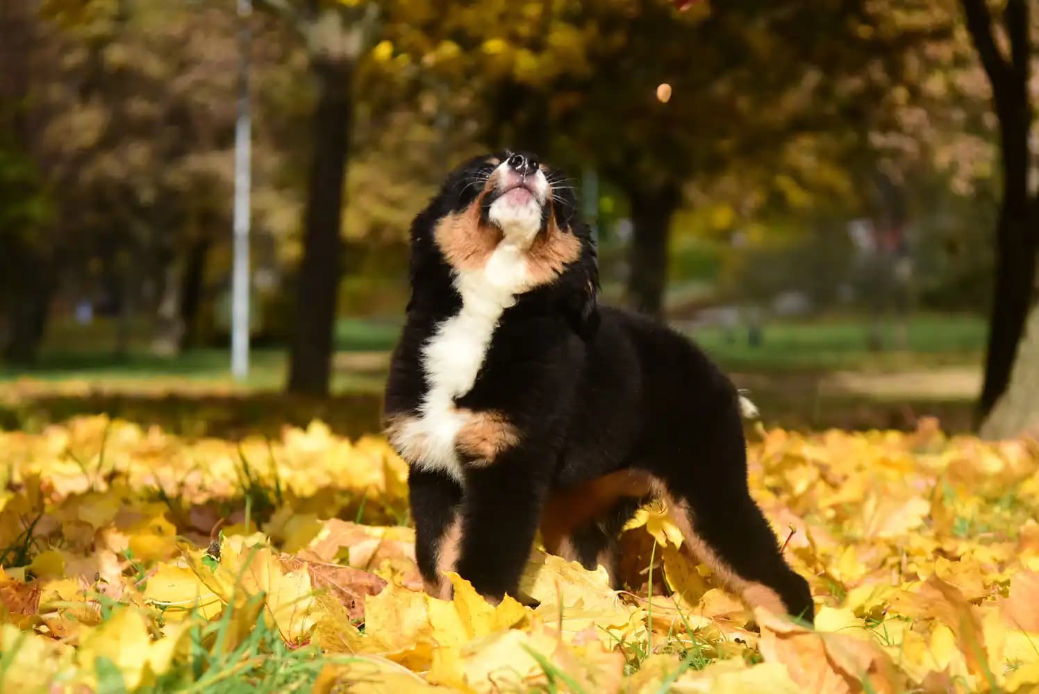 carousel-image-mobile-4