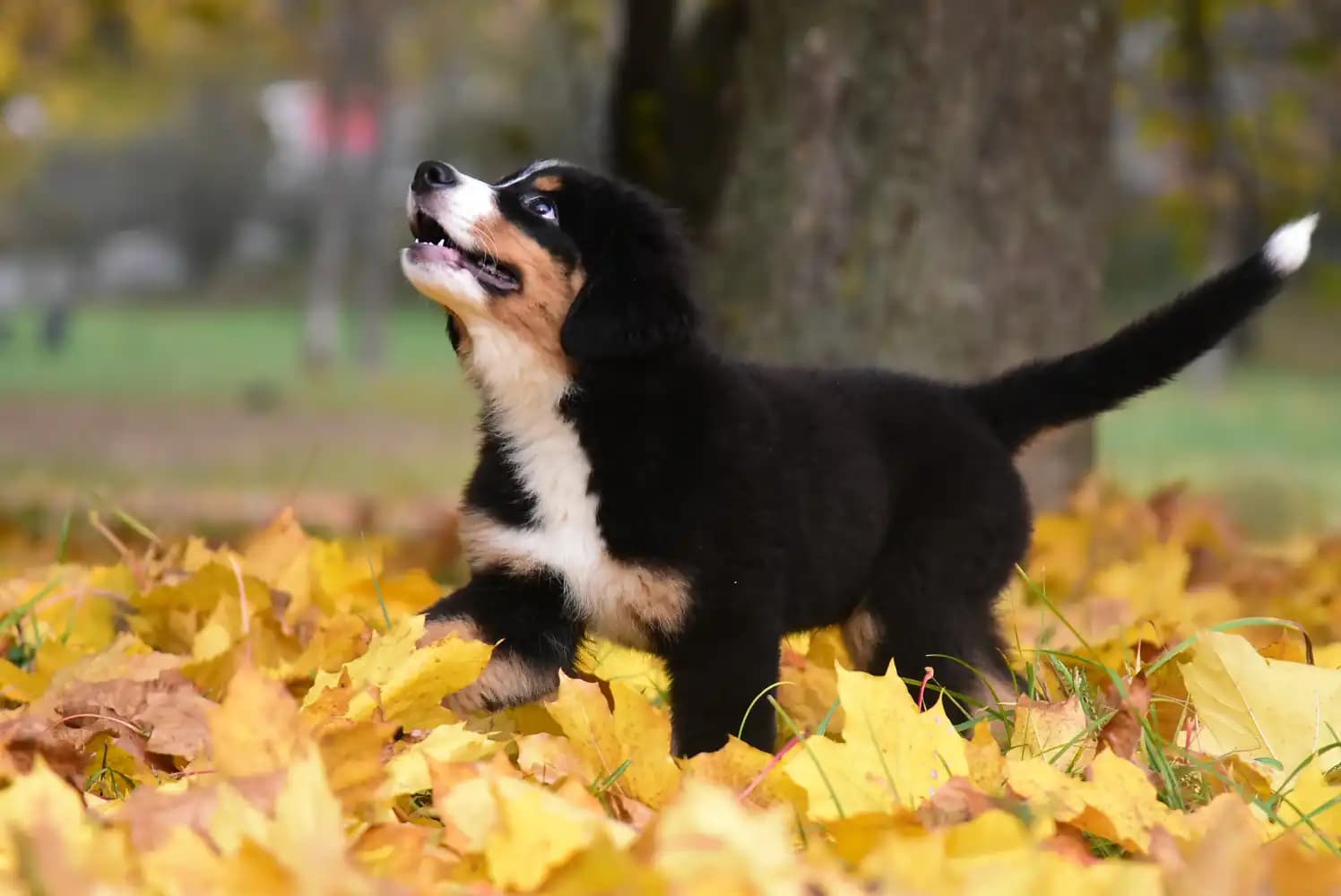 carousel-image-mobile-5