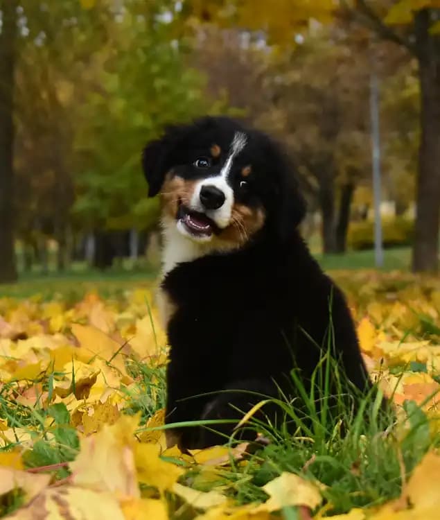 carousel-image-mobile-6