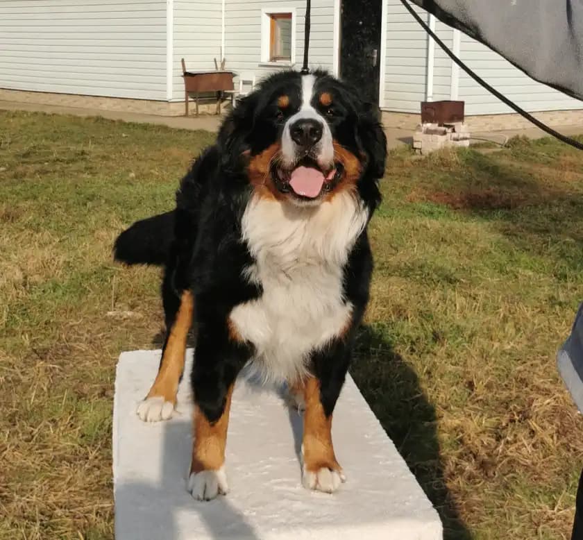 carousel-image-mobile-7