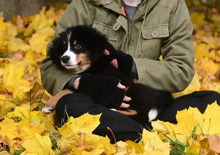 carousel-image-mobile-1