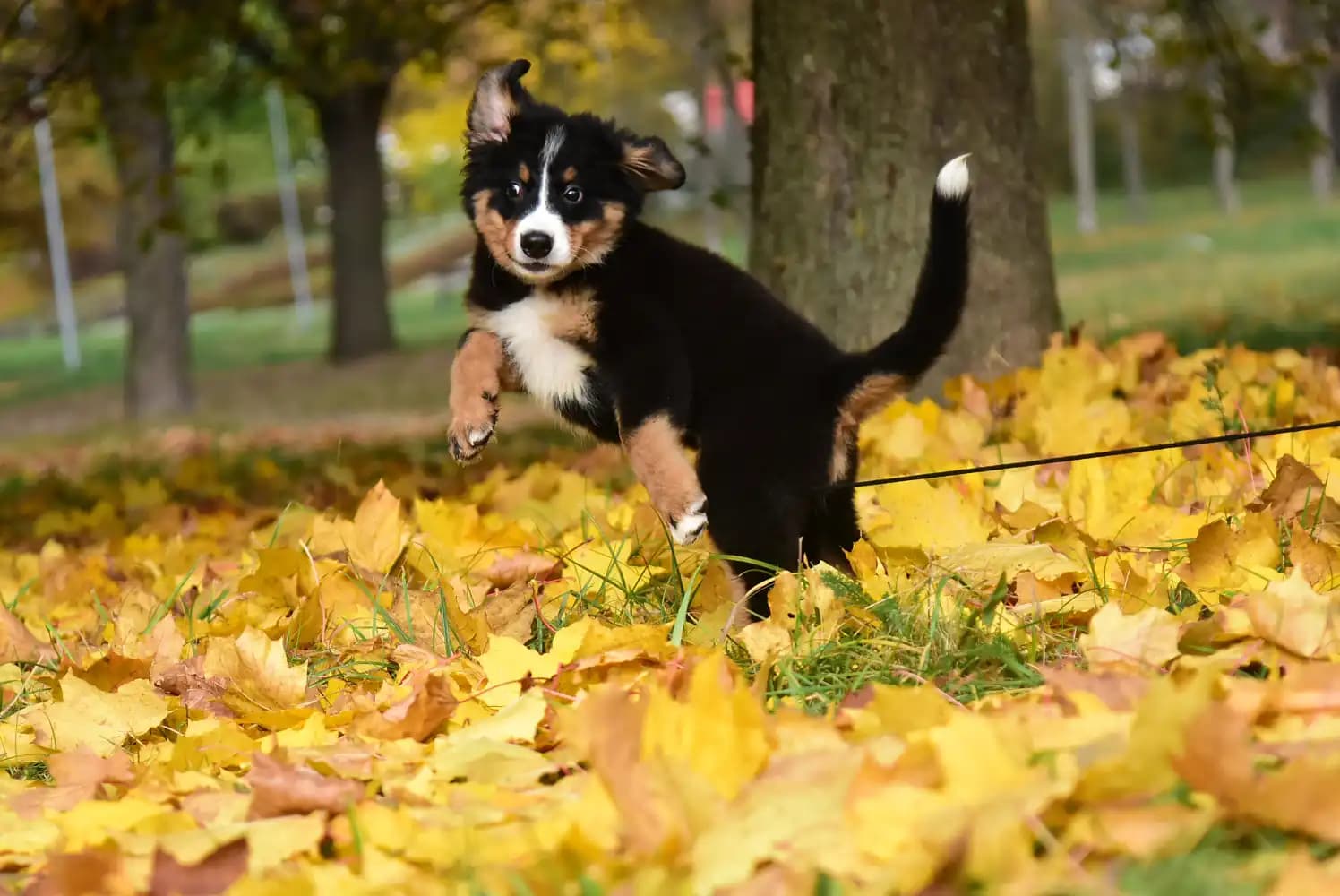 carousel-image-mobile-3