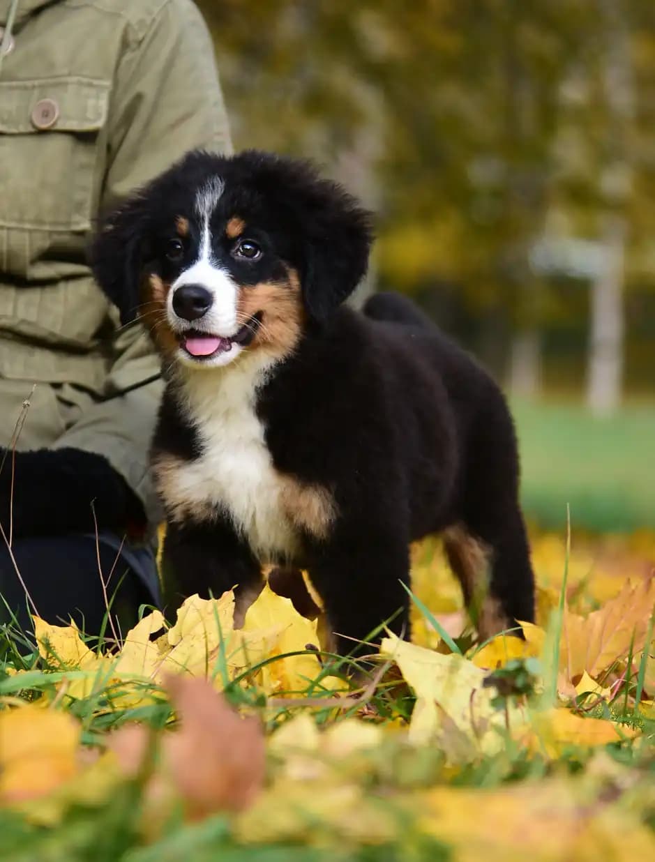 carousel-image-mobile-4