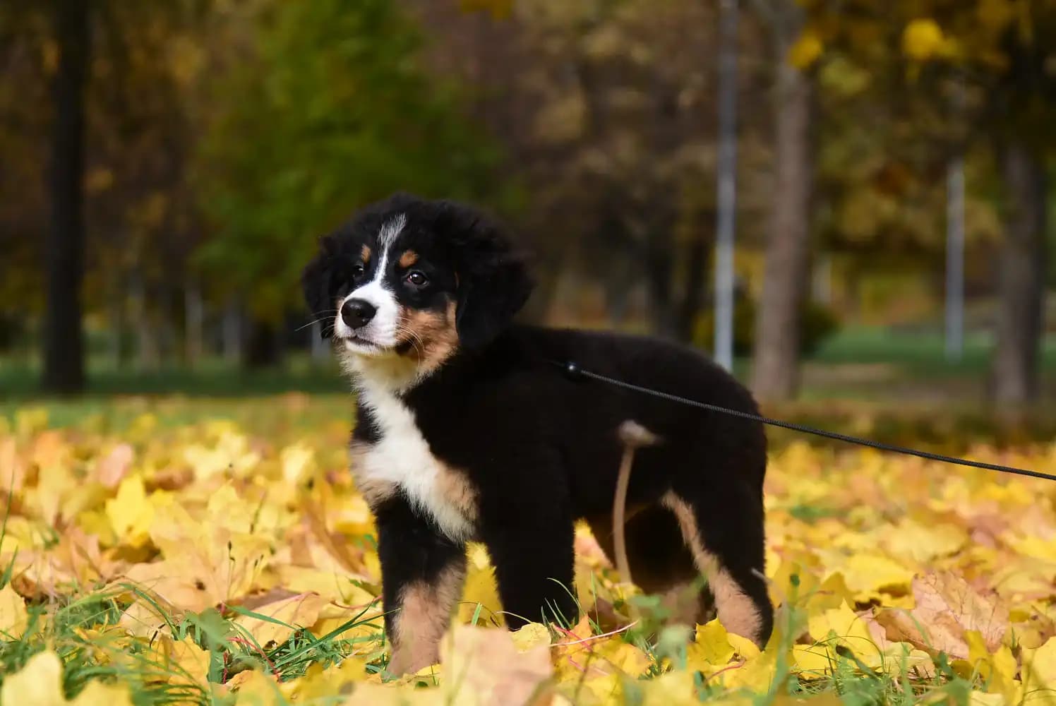 carousel-image-mobile-5