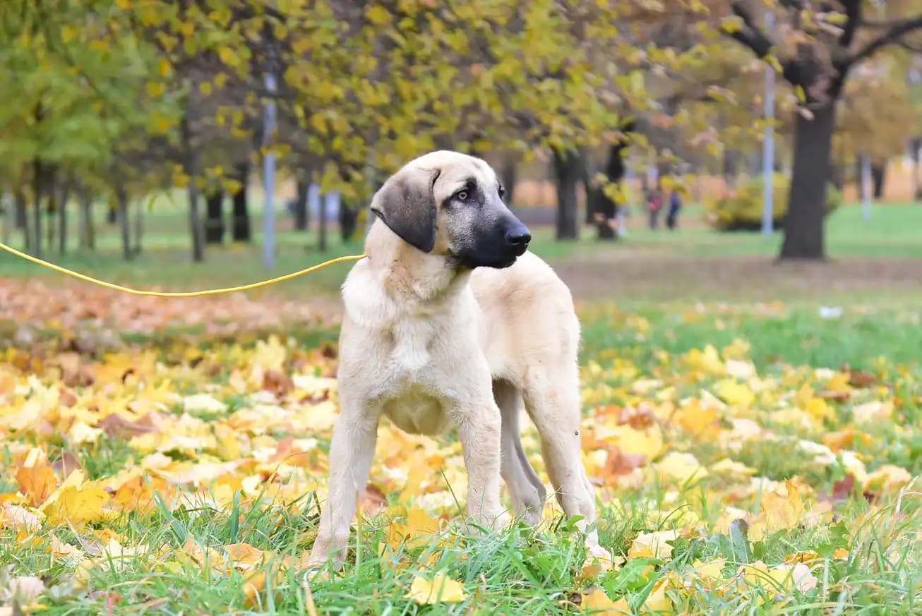 carousel-image-mobile-3