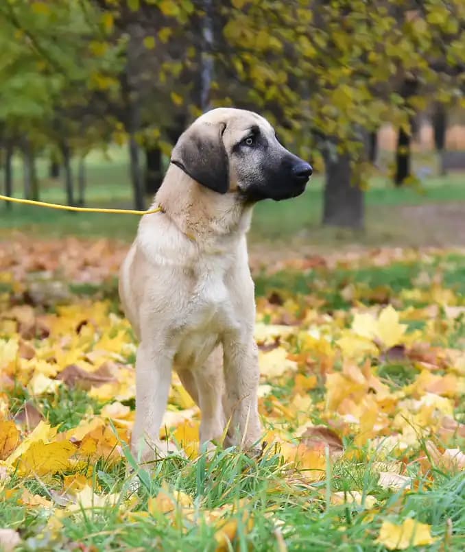 carousel-image-mobile-5