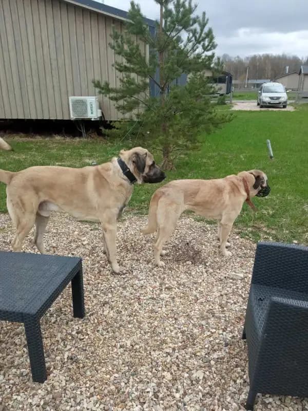 carousel-image-mobile-7