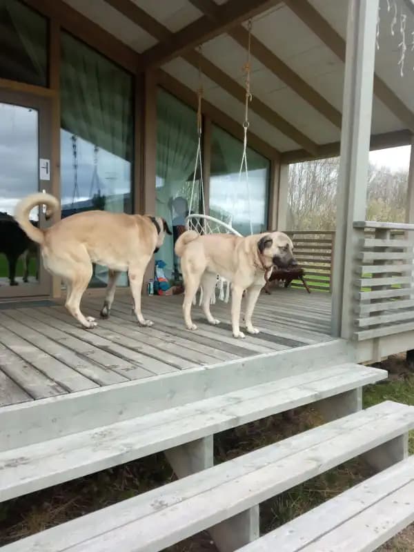 carousel-image-mobile-8