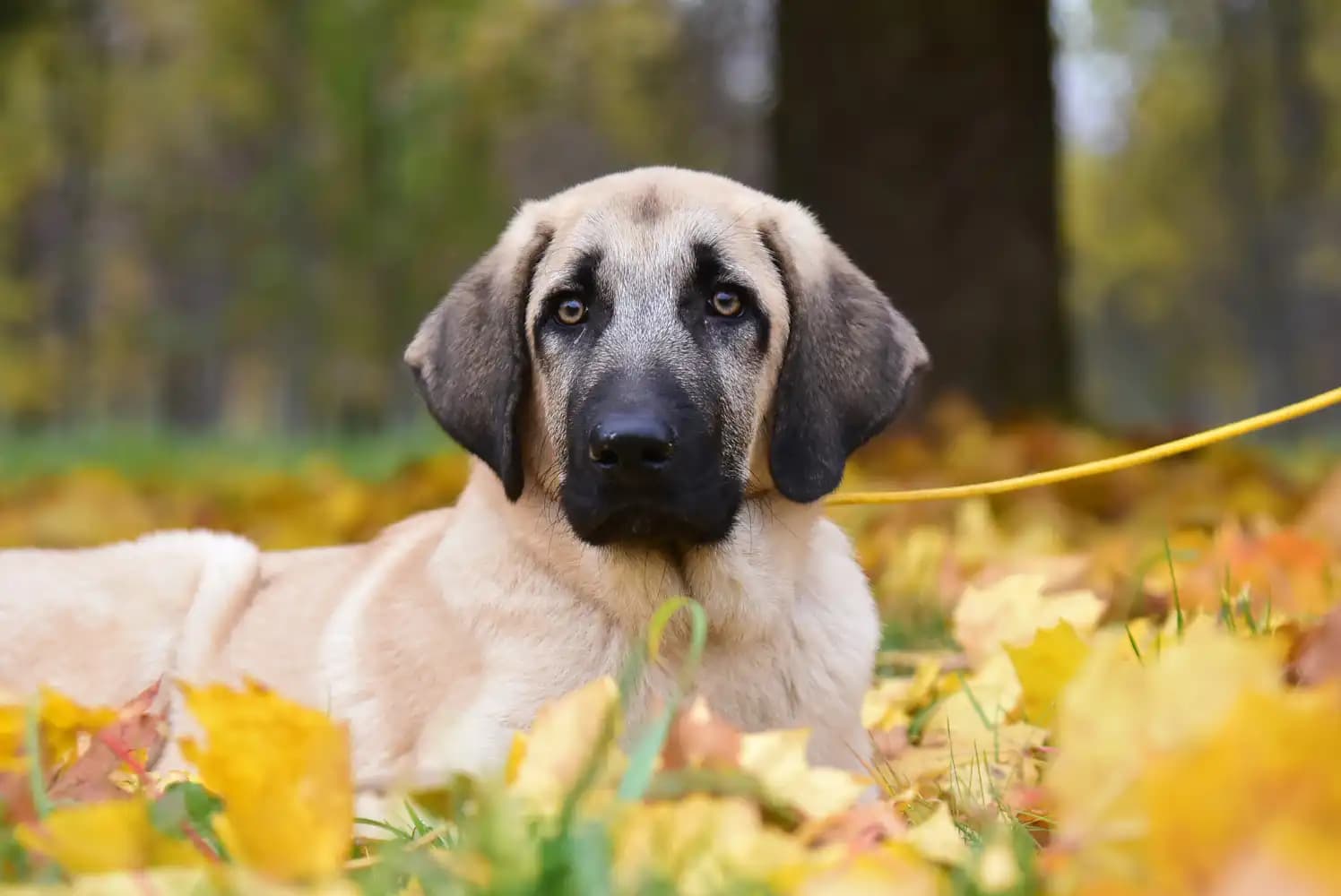 carousel-image-mobile-9