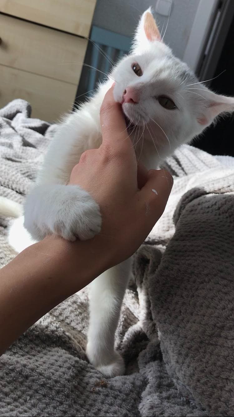 carousel-image-mobile-1