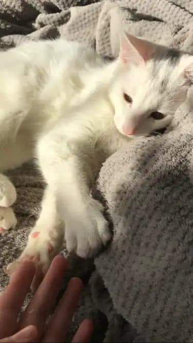 carousel-image-mobile-2