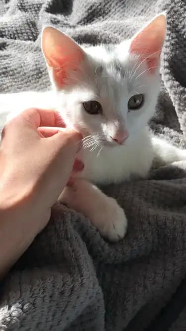 carousel-image-mobile-3